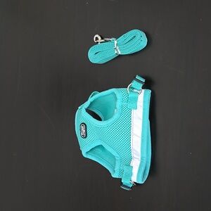 Teal Green Dog Puppy Harness with Leash Size Small